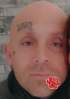 Michael Ross – profile image